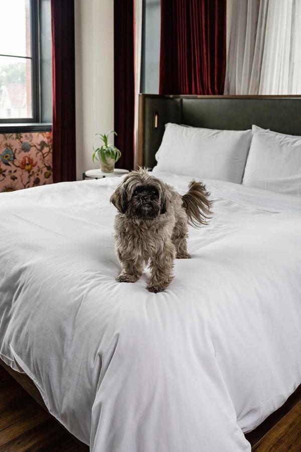 The Broadview Hotel Τορόντο Εξωτερικό φωτογραφία